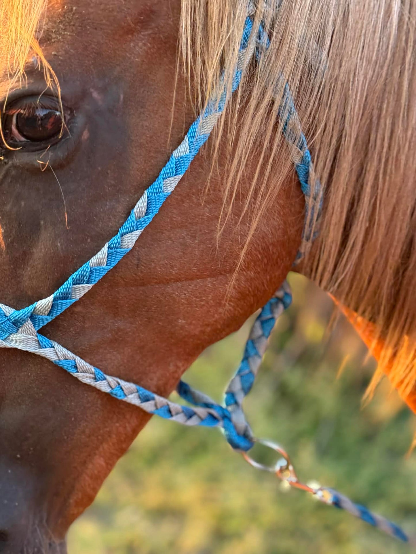 6 Shooter Deluxe MuleTape Halter
