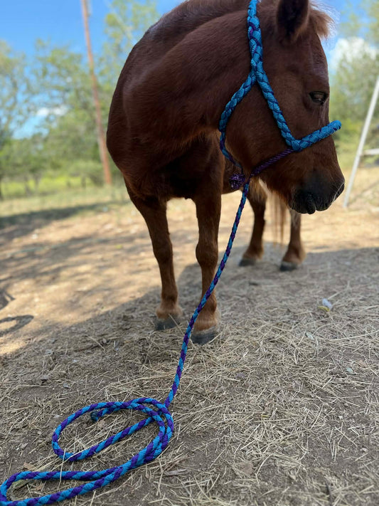 Velvet Outlaw Lariat Mini Halter