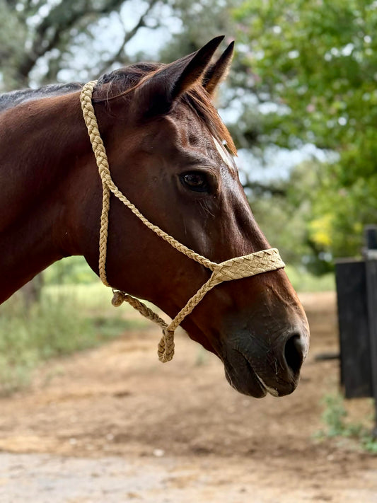 Six Shooter MuleTape Halter