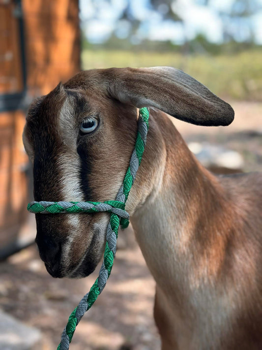 ScapeGoat Halter