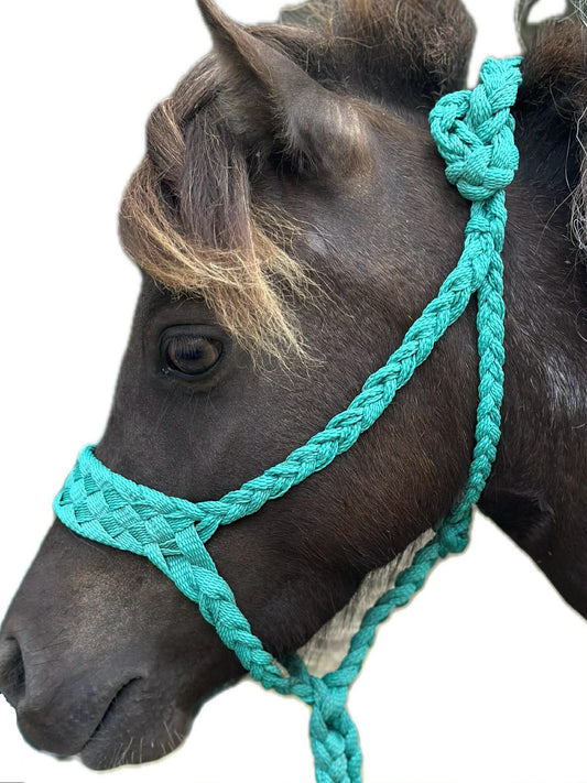 6 Shooter Mini Halter